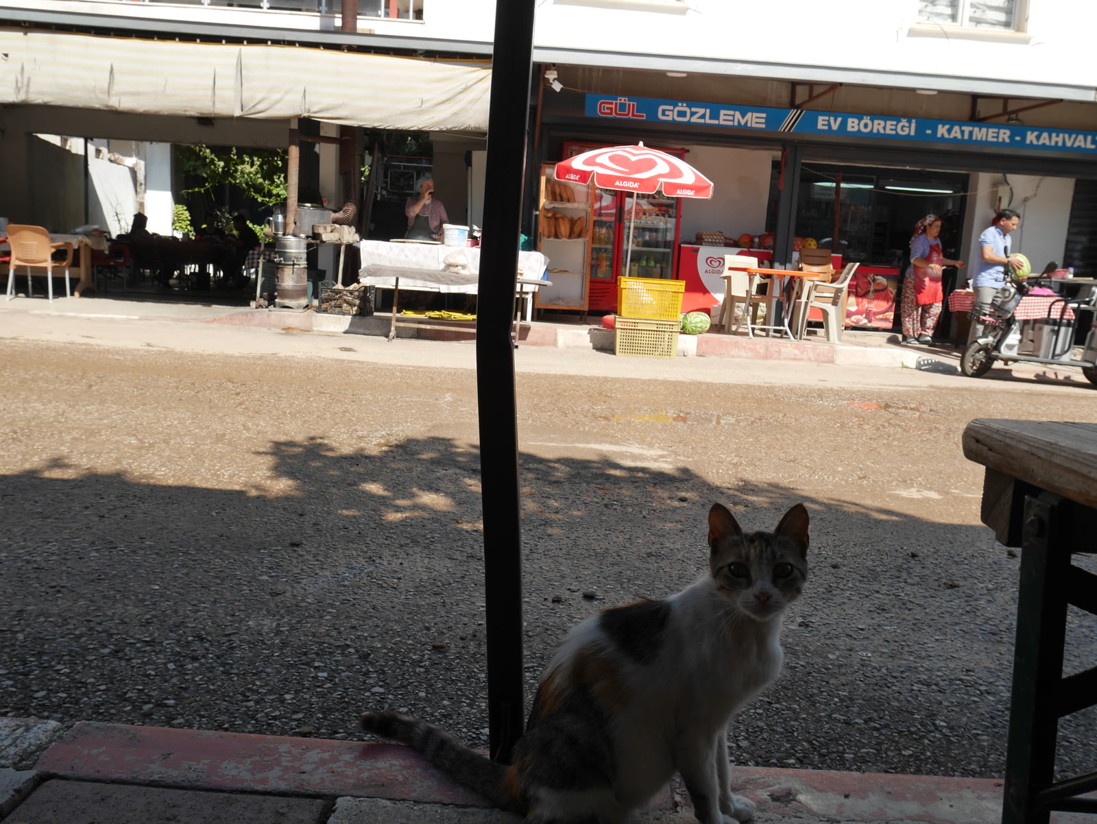 Photograph 17 from Gats Turcs