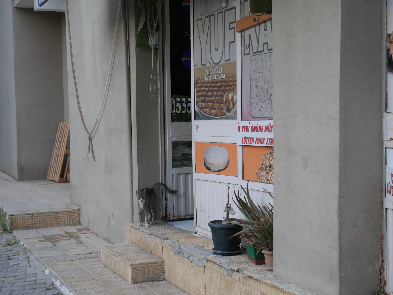 Photograph 24 from Gats Turcs
