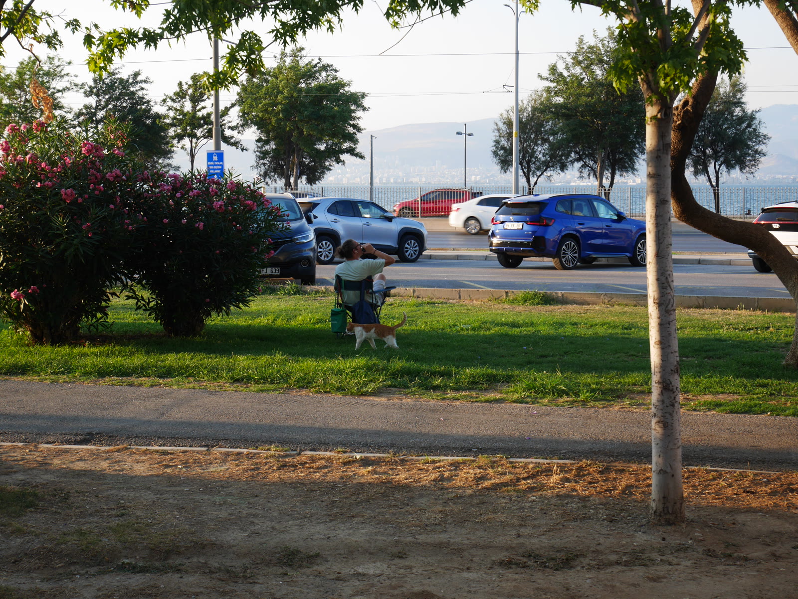 Photograph 35 from Gats Turcs