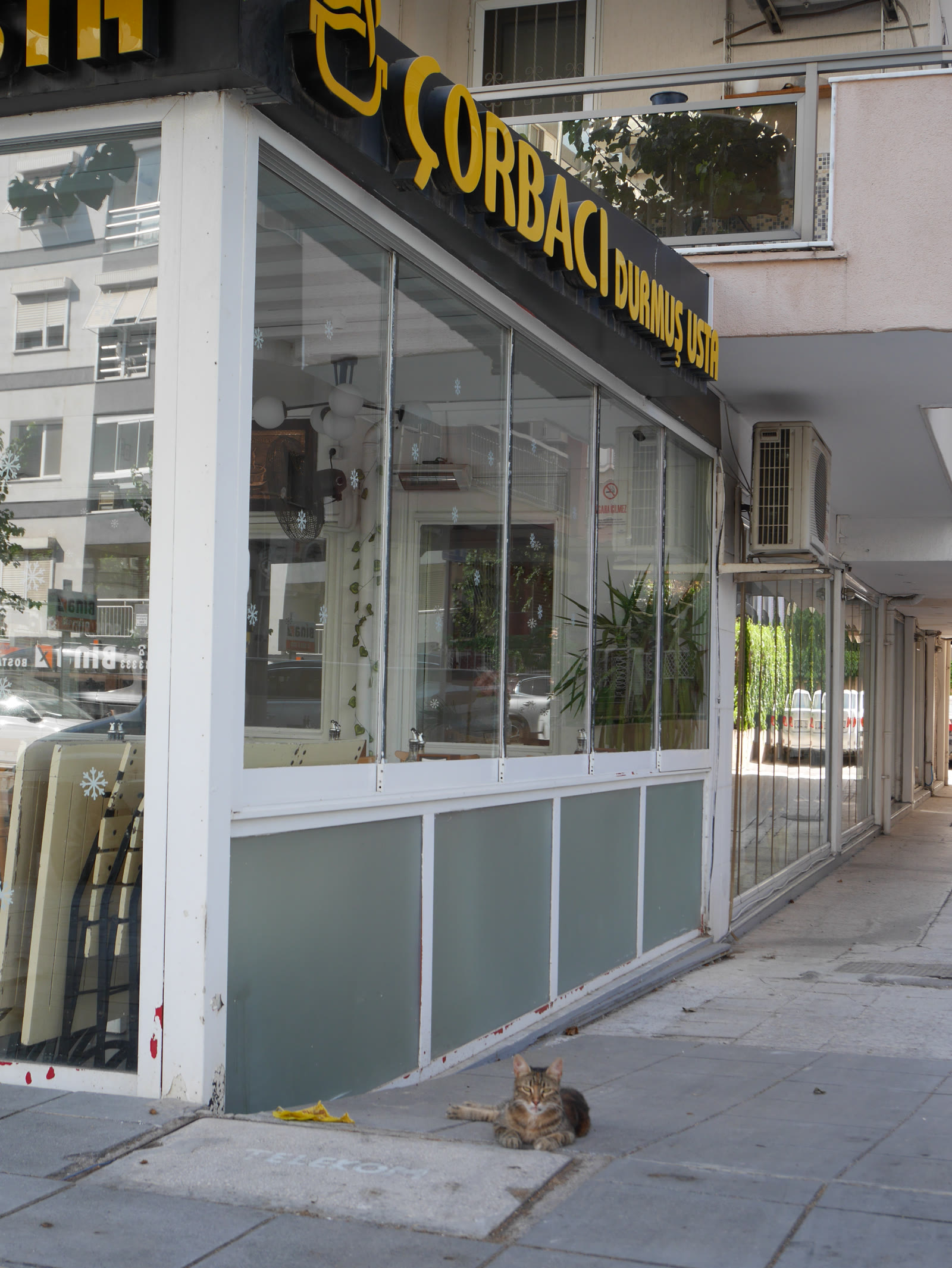 Photograph 26 from Gats Turcs