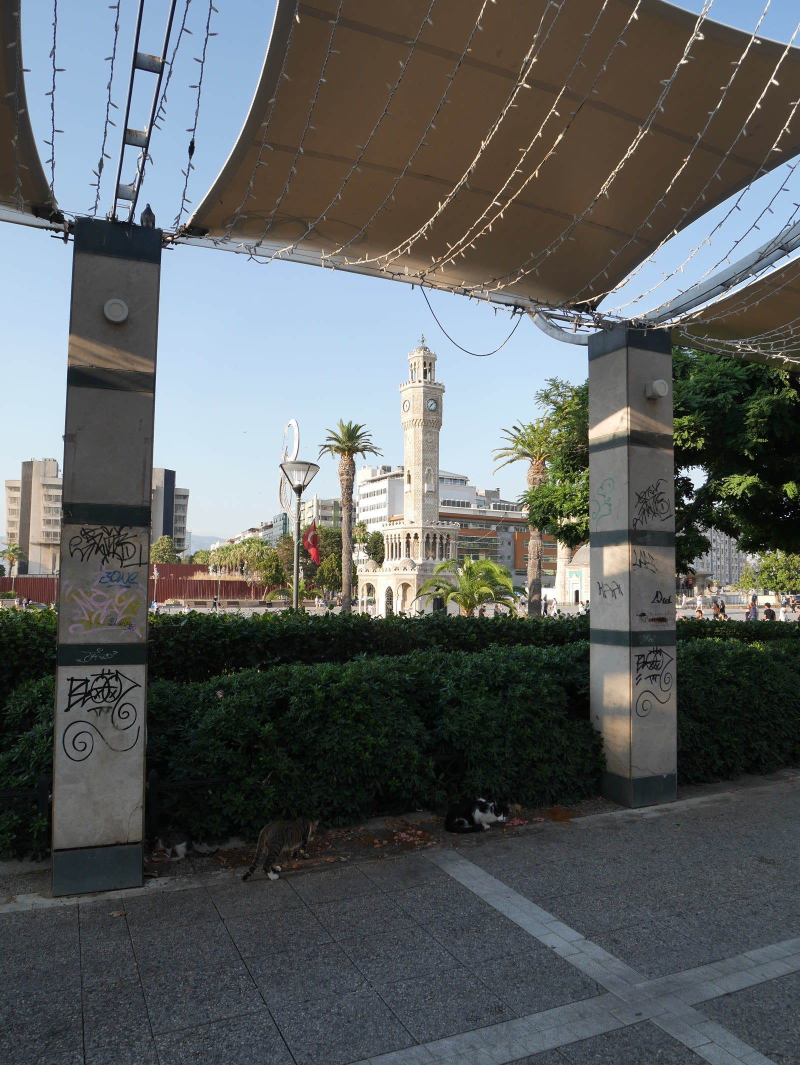 Photograph 31 from Gats Turcs