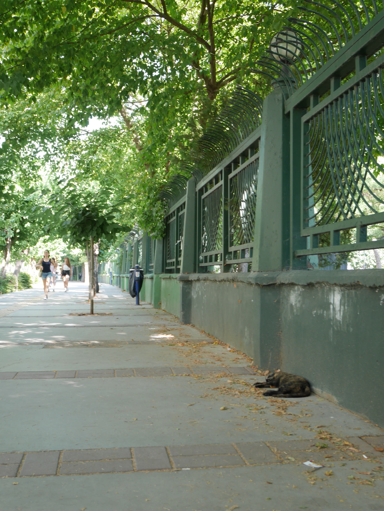Photograph 10 from Gats Turcs