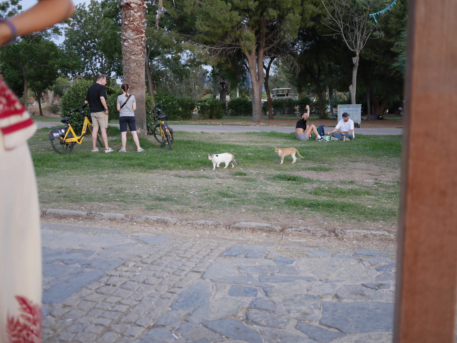 Photograph 2 from Gats Turcs