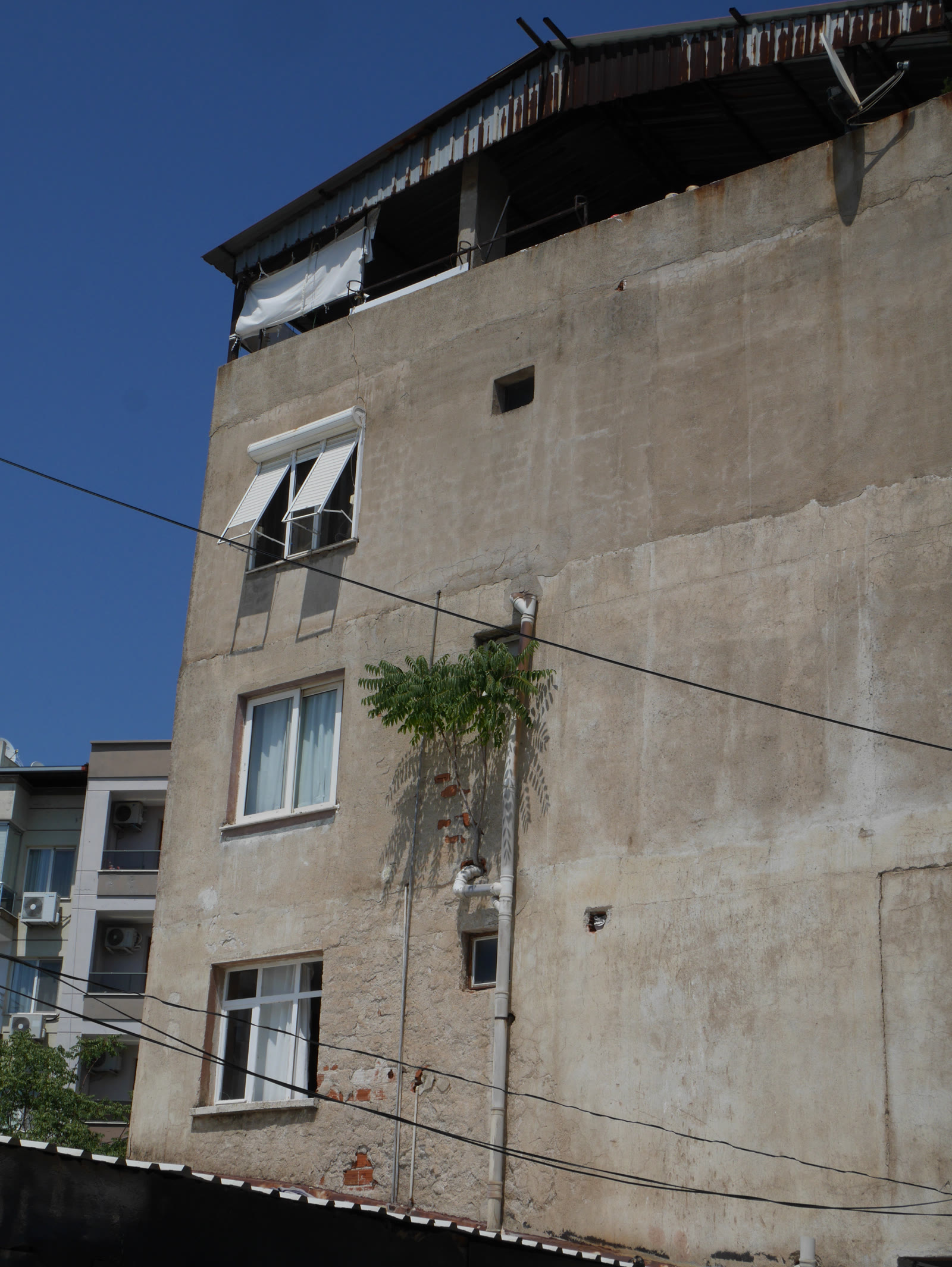 Photograph 22 from Gats Turcs