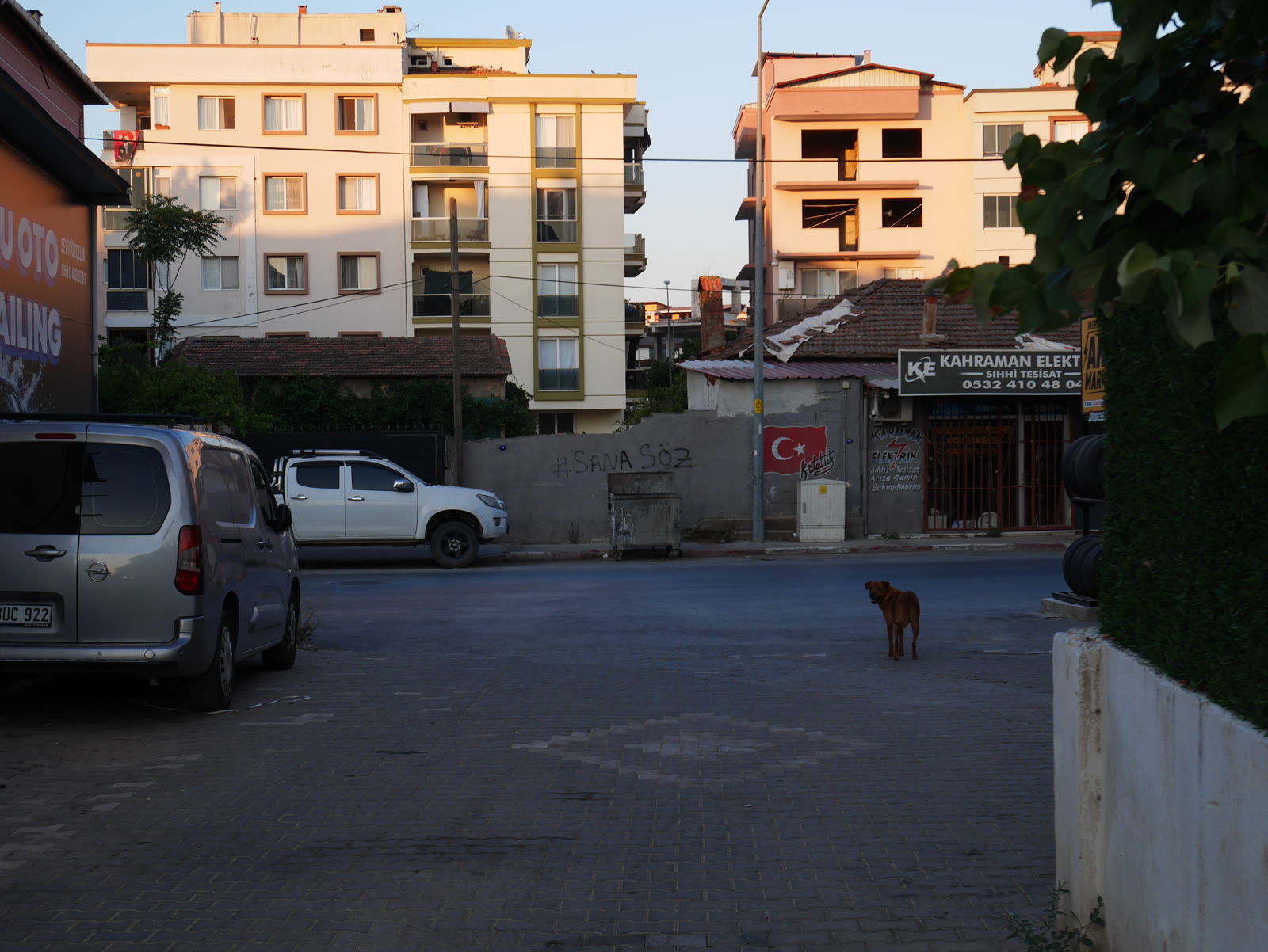 Photograph 19 from Gats Turcs
