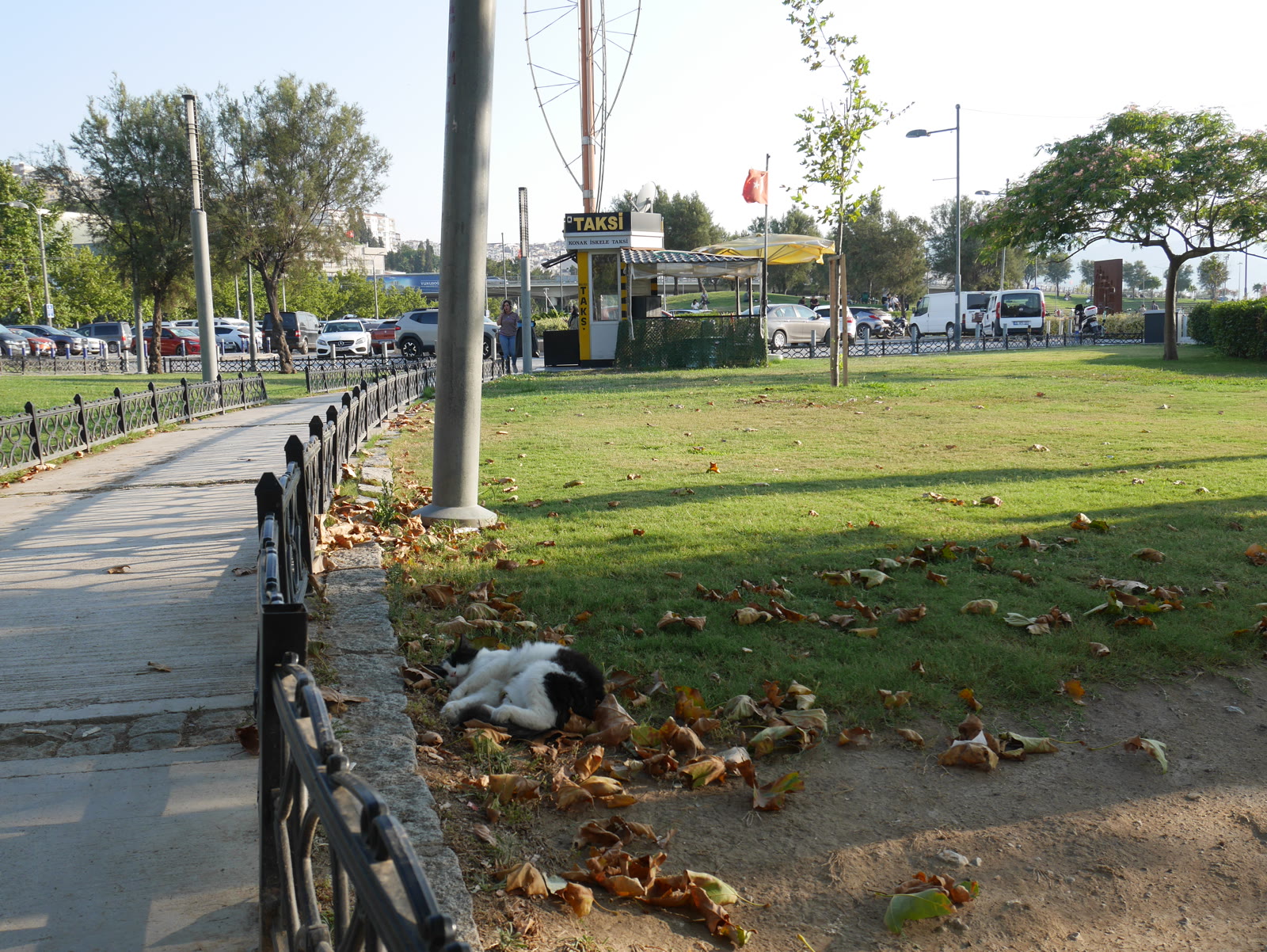 Photograph 29 from Gats Turcs