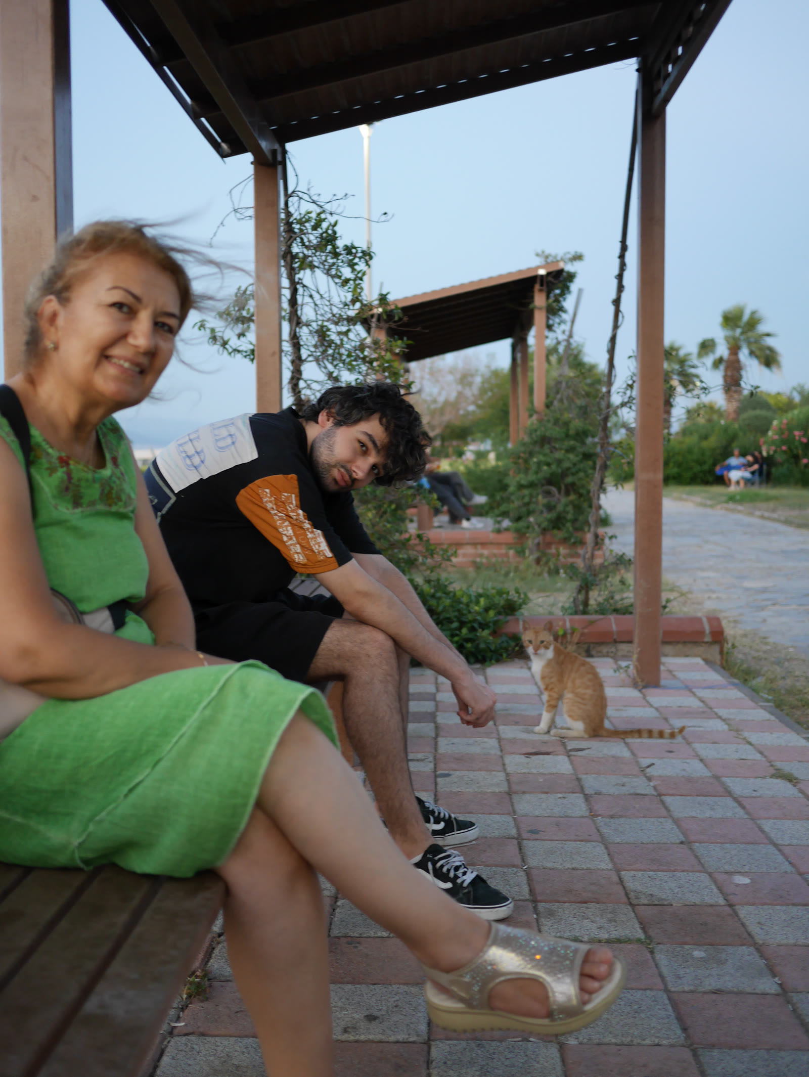 Photograph 3 from Gats Turcs